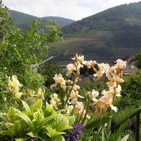 Апартаменты Batek